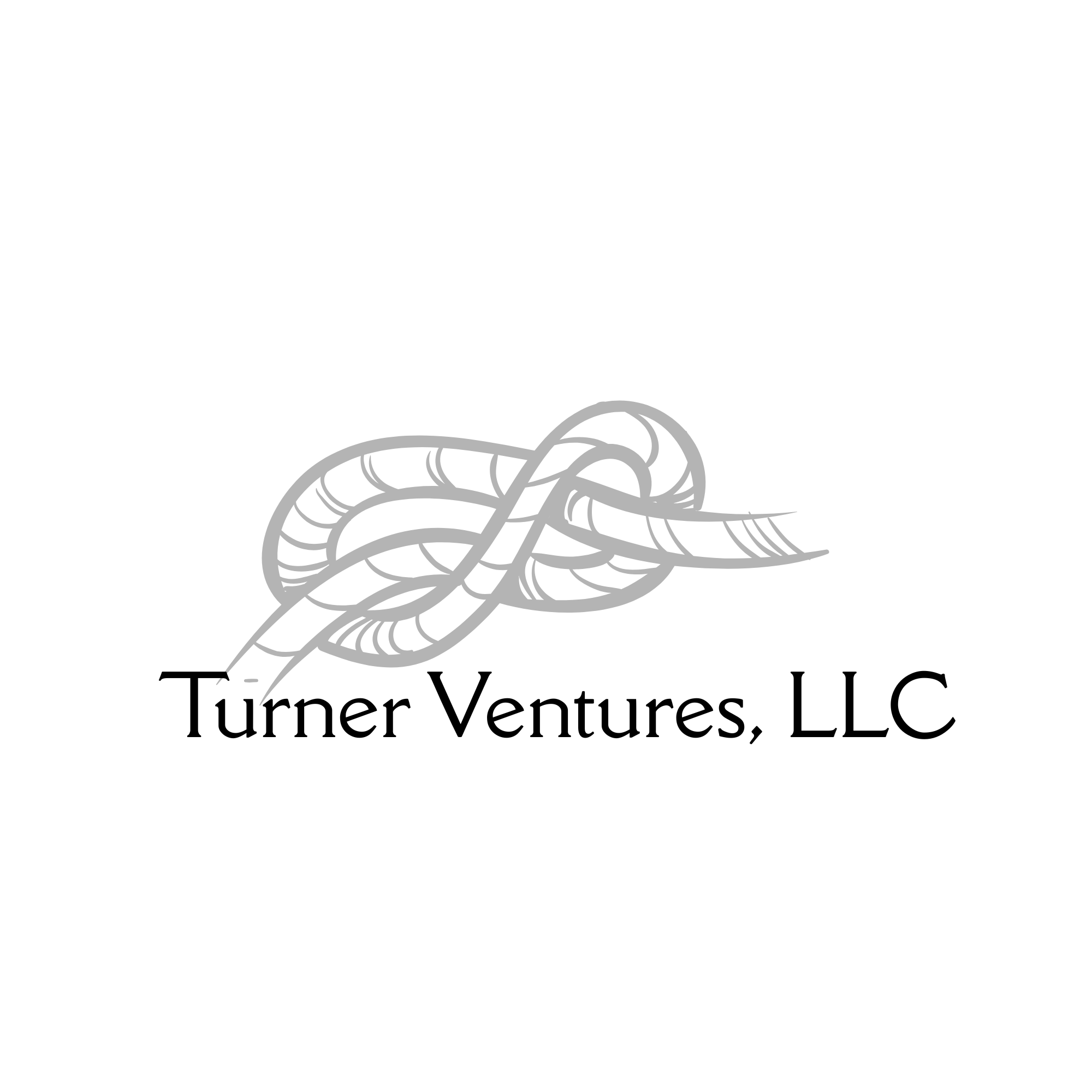 Turner Ventures, LLC